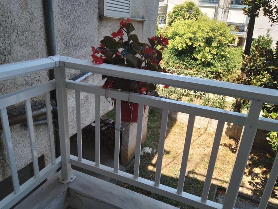 Little Beauty - Happyhostgr - In Platamonas Διαμέρισμα Εξωτερικό φωτογραφία