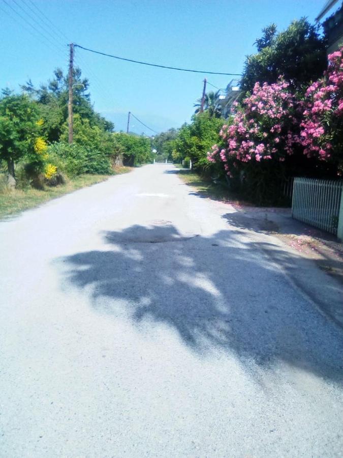 Little Beauty - Happyhostgr - In Platamonas Διαμέρισμα Εξωτερικό φωτογραφία